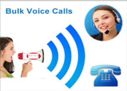 Digital Marketing for Kosi Kalan Municipal Corporation Elections - Case Study